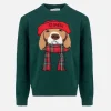 Maglione girocollo verde da bambino con sciarpa beagle Douglas
